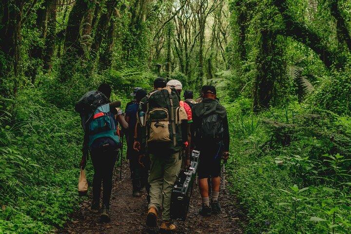 7 Days MT Kilimanjaro Private Hiking VIA Lemosho Route