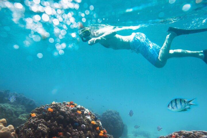 Nha Trang Half-Day Snorkeling Adventure at Marine Park with BBQ