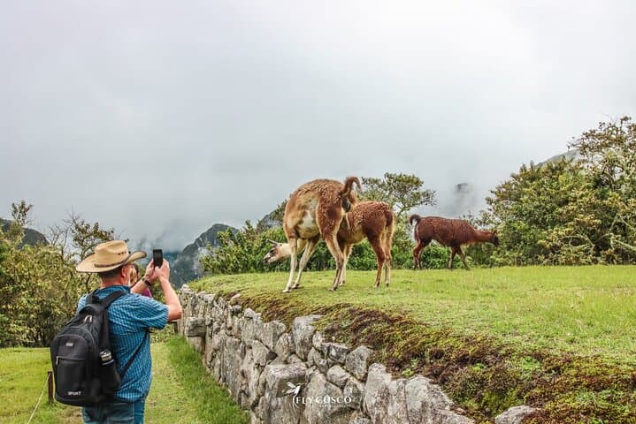 Machu Picchu Official Ticket Circuit 2, Bus & Private Guide