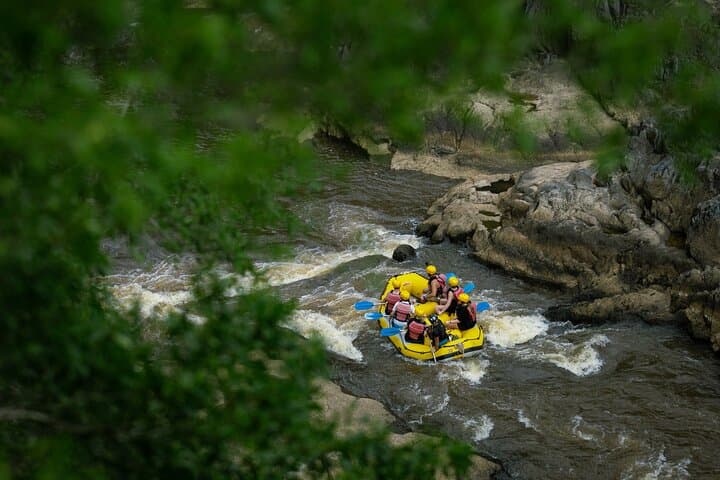 Barron River Half-Day Rafting: Cairns, Port Douglas or Self-Drive
