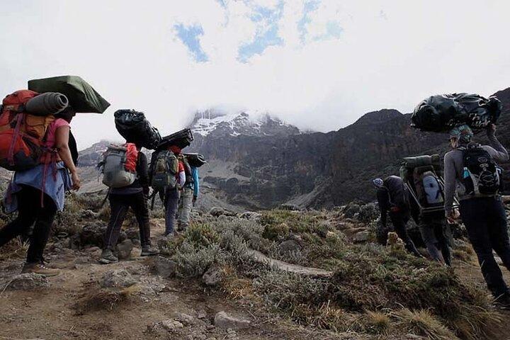 Machame Route Kilimanjaro Trekking 7 Days