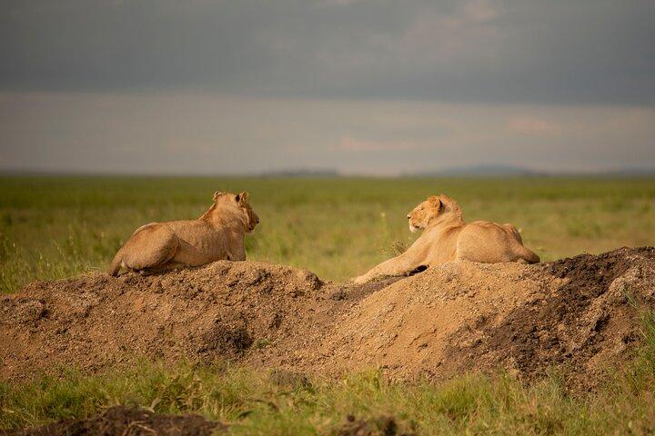 3 Days Private Mid-Range Safari - Serengeti and Ngorongoro Crater