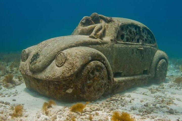 Isla Mujeres Albatross Plus All Inclusive with Ground Transportation