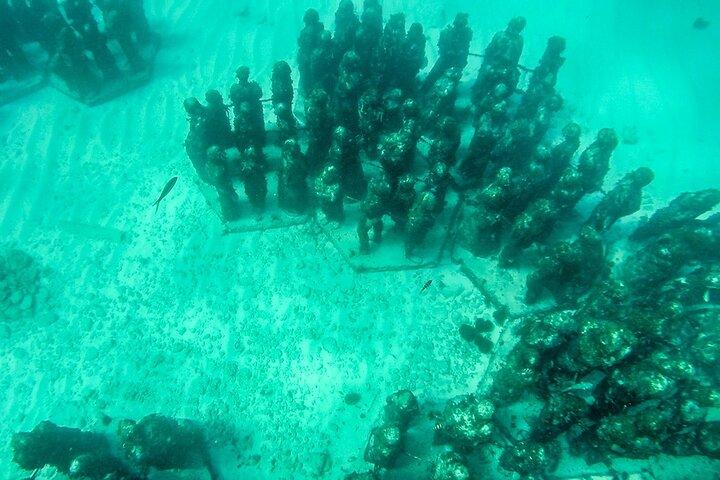 Isla Mujeres Albatross Plus All Inclusive with Ground Transportation