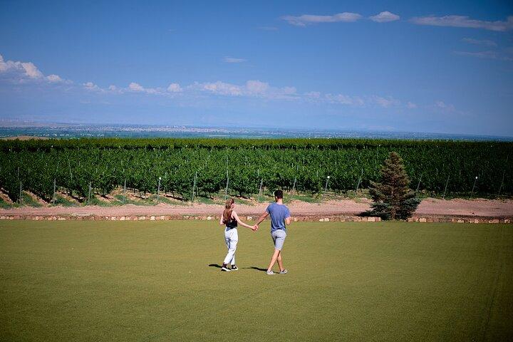 Vineyard Tour and Fine Wine Tasting Experience in Ararat Valley