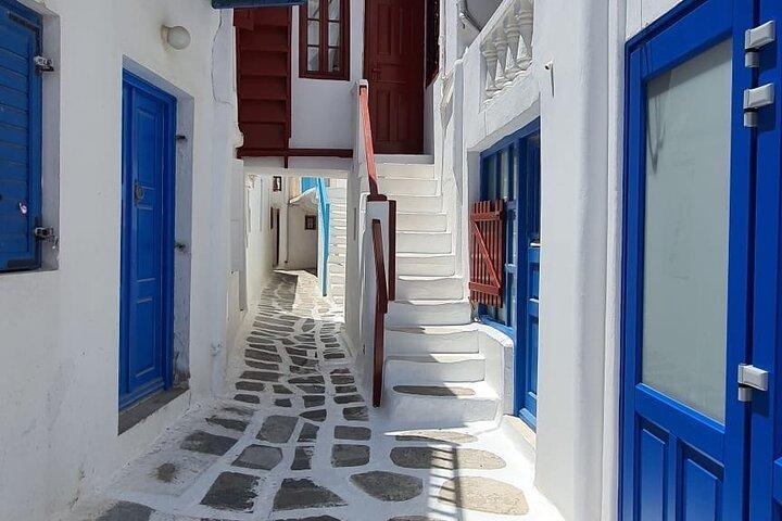 Secrets Of Mykonos Private Tour Including Town Scenic Spots