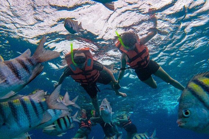 Magnificent Exploration to El Cielo Palancar and Columbia Reefs