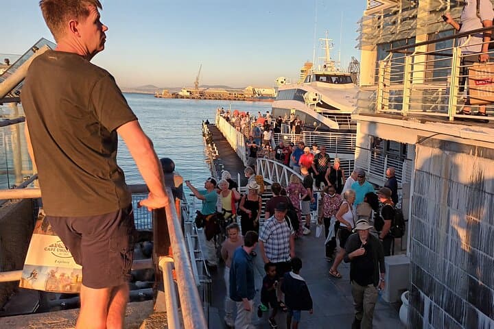 Robben Island Half Day Tour: Experience History and Freedom