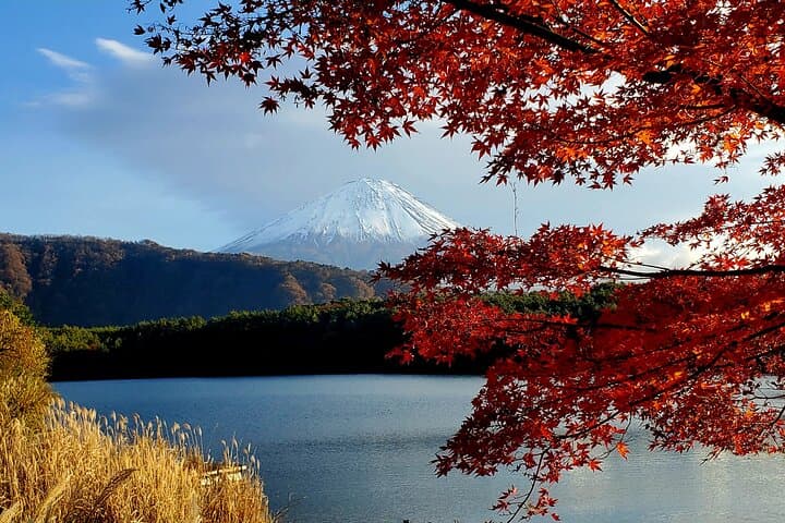 Mt Fuji & Hakone Private Tour from Tokyo: Return by Bullet Train