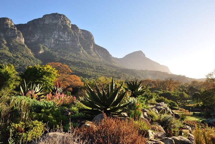 Table Mountain Bokaap and Kirstenbosch Botanical Garden