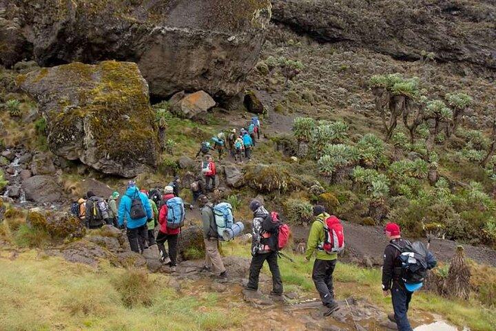 MT Kilimanjaro Day Trip VIA Machame Route