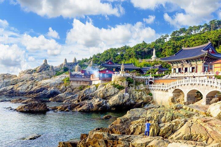 Small Group Discover Busan Tour with hotel pickup and dropoff