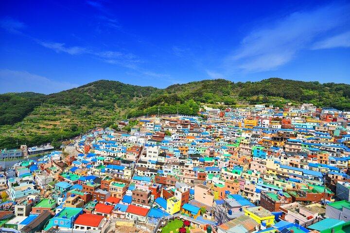 Cruise Layover Busan Highlight Tour with Sea temple and Gamcheon
