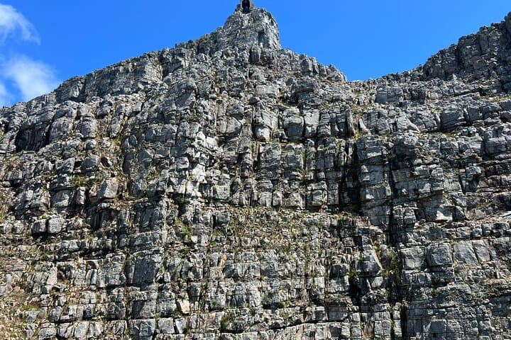 Cape Town Half-Day Table Mountain Cable Car Experience