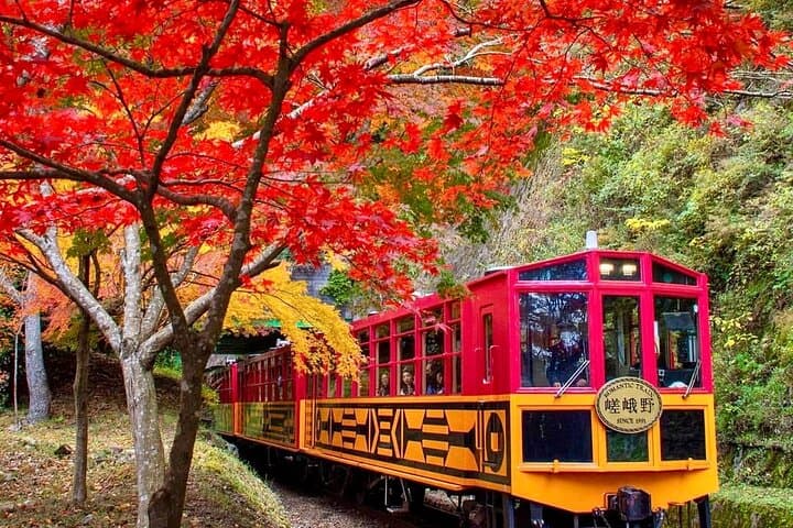 Arashiyama Sagano Romantic Train,Fushimi Inari Taisha & Nara Park