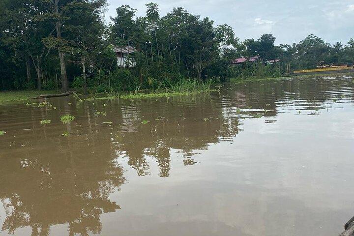 Canoeing in The Amazon Rainforest