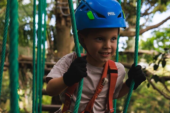 Treetops Adventure The Hills Junior Ropes Course
