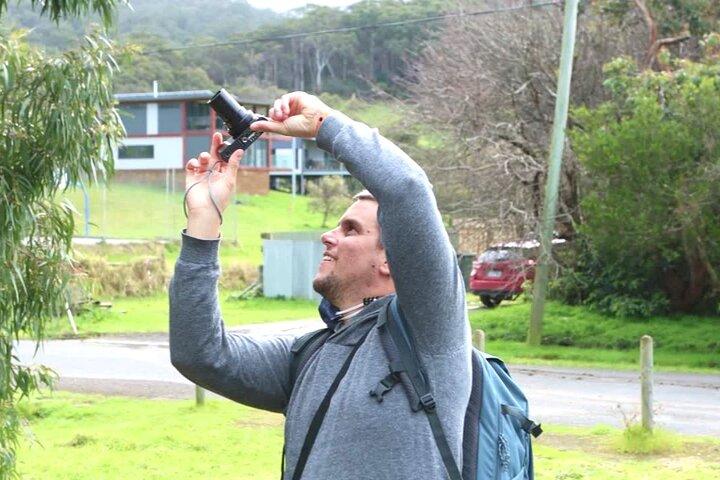 Full-Day Great Ocean Road and 12 Apostles Sunset Tour from Melbourne