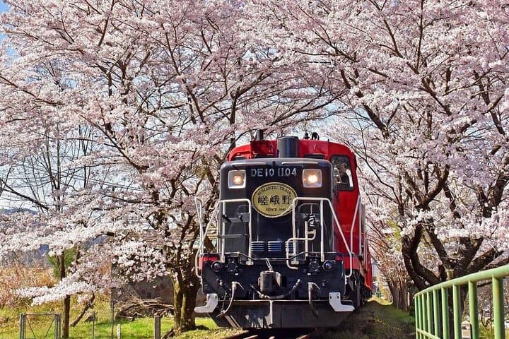 Arashiyama Sagano Romantic Train,Fushimi Inari Taisha & Nara Park