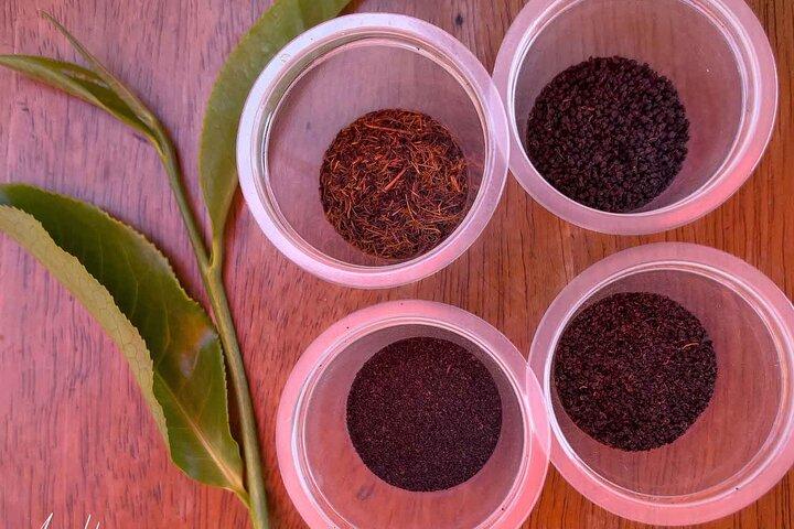 Kiambethu Tea Farm Tour From Nairobi