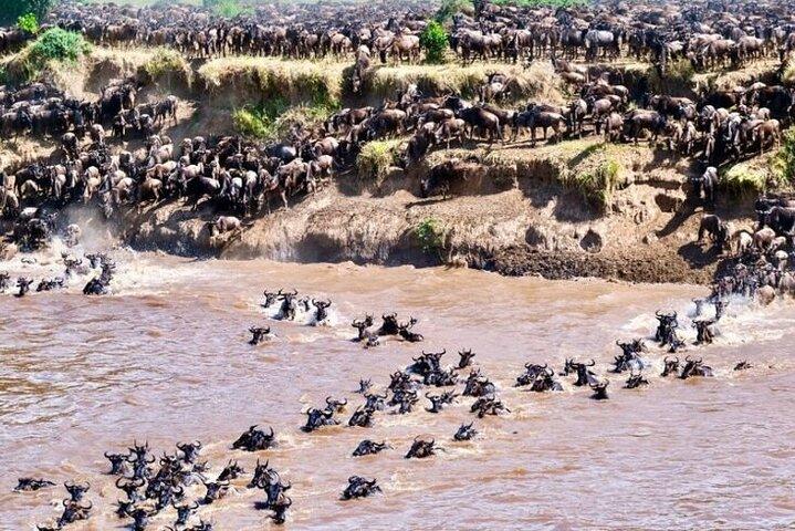 5 Days Tanzania Exclusive Luxury Lodge Safari