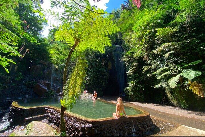 Ubud Waterfalls Water Temple and Rice Terraces Private Tour