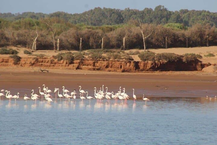 Agadir Jeep Safari Sahara Desert 4x4 Day Tour with Lunch