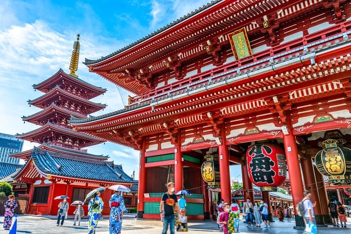 Tokyo Morning Tour : Meiji Shrine, Asakusa and Fish Market
