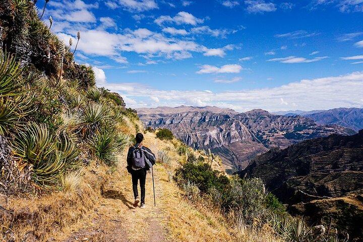Full Day Waqrapukara Group Tour