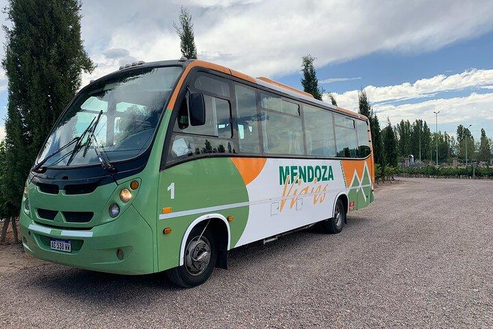 Mendoza Wine and Oil Tasting in Maipu