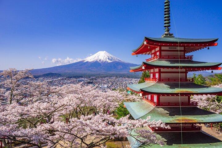 Mount Fuji and Hakone Customize Private Day Tour with Driver