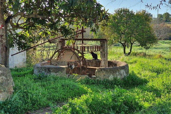 Half Day Tour with Jeep Safari in the Algarve Mountains