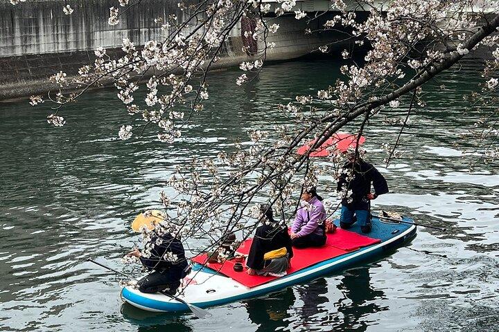 Cherry Blossom Viewing from a Boat: Tour in Yokohama Minato Mirai