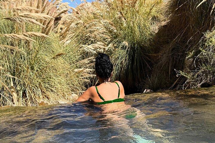 San Pedro de Atacama : Transfer to Termas de Puritama