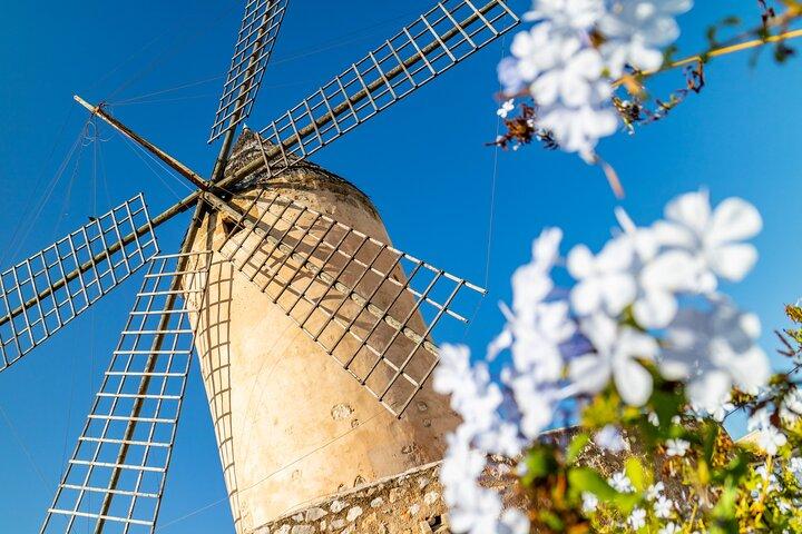 Deluxe Cruise-Friendly Tour in Palma De Mallorca and Valldemossa