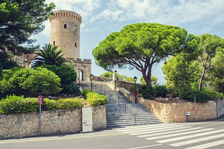 Deluxe Cruise-Friendly Tour in Palma De Mallorca and Valldemossa