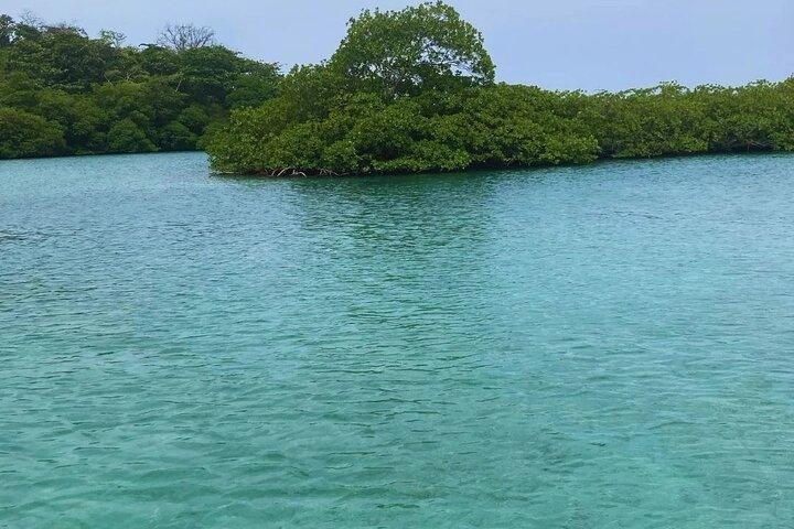 Mamey Island Beach Day in Portobelo Colon Panama