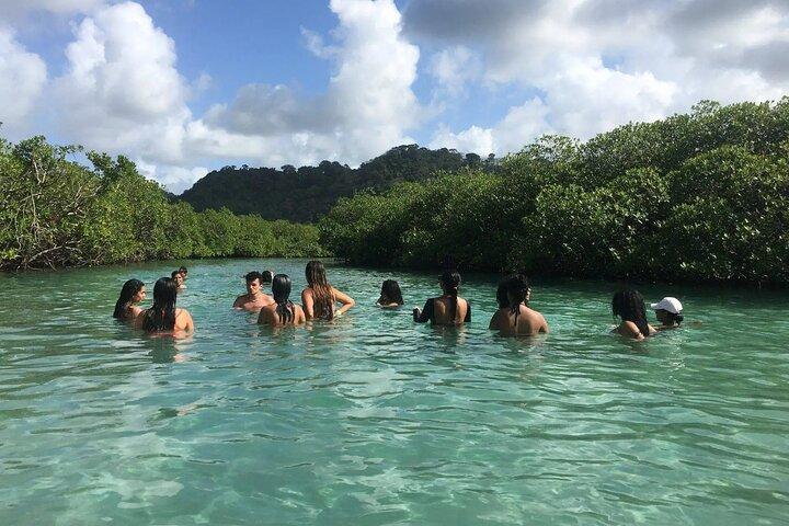 Mamey Island Beach Day in Portobelo Colon Panama