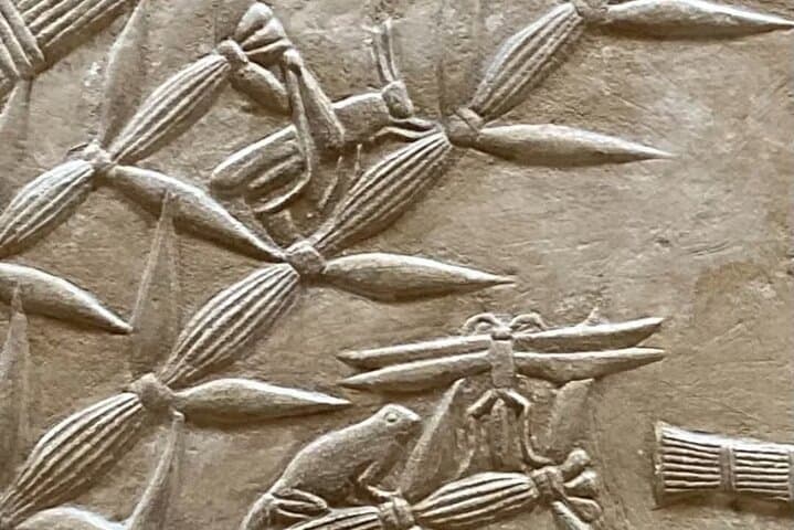 Memphis, Saqqara, Dahshur Pyramids & Tombs in a Private Day Tour