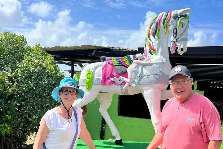 Aruba Ecological & Coastline Horseback Ride with Beach Photo Stop