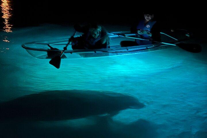 Crystal River Sunset Glow Clear Kayak Manatee Tour Free Photos