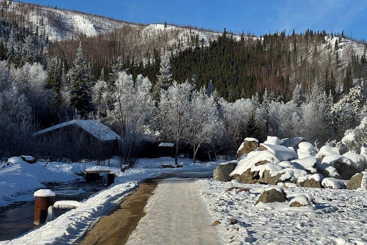 Chena Hot Springs Small Group Tour