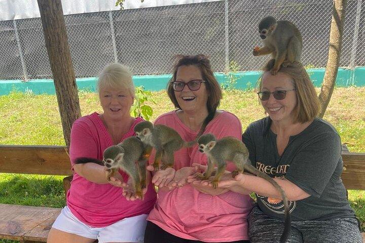 Half Day Puerto Plata City Tour and Monkey Home Visit