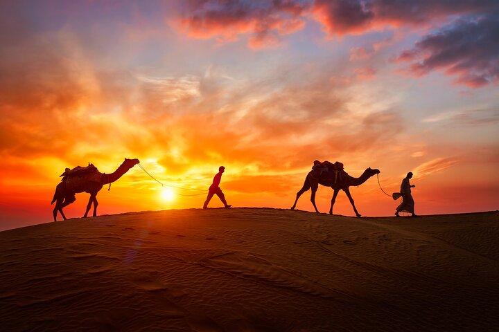 Mid Day Desert Safari Red Dunes with Brunch & Quad Bike Options