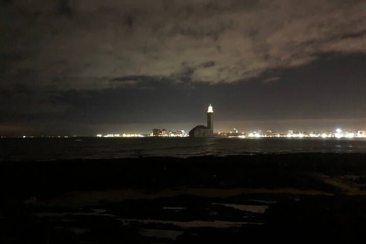 Night City Ride with Dinner and Lighthouse Views