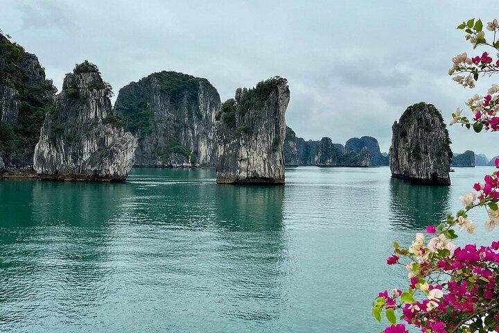 Bai Tu Long Bay Day Cruise with Off the Beaten Track Route