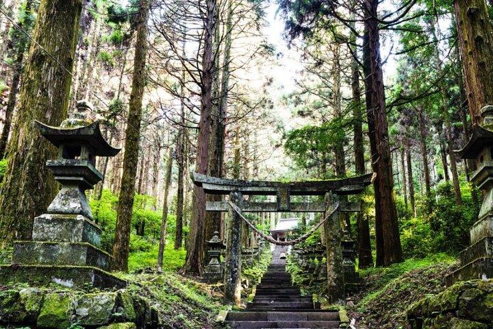 Day Tour to Miyazaki Takachiho Gorge & Shrine depart from Fukuoka