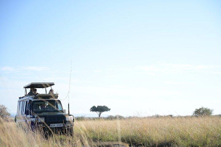 7 Days Hemmingways Safari