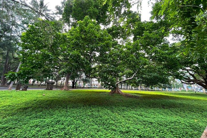 Buon Ma Thuot Heritage & Coffee Journey