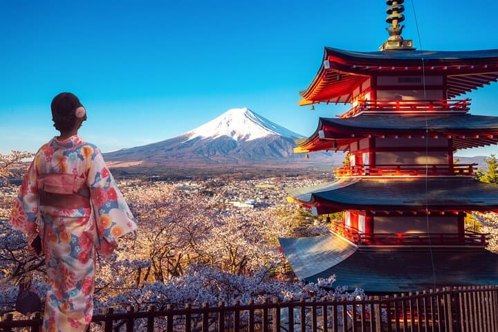 Mt Fuji Kawaguchi or Hakone customize private charter car service